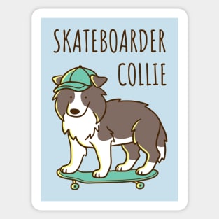 Skateboarder Collie Sticker